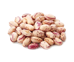 Фасоль рябая